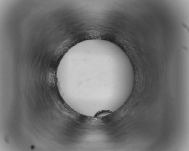 X0000103260768200809121923