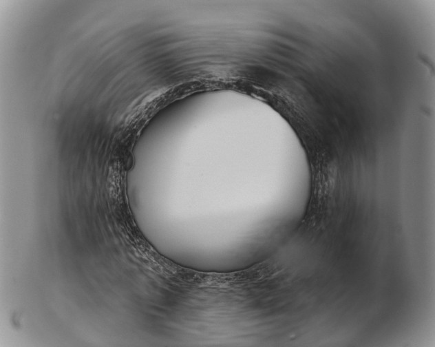 X0000103260773200809121922