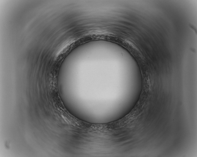 X0000103260775200809121922