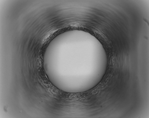 X0000103260776200809121922