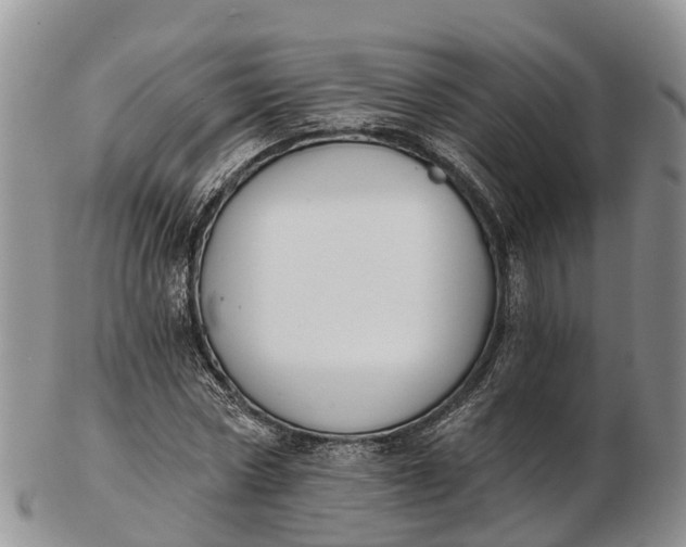 X0000103260778200809121922