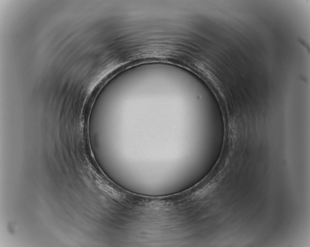 X0000103260779200809121922