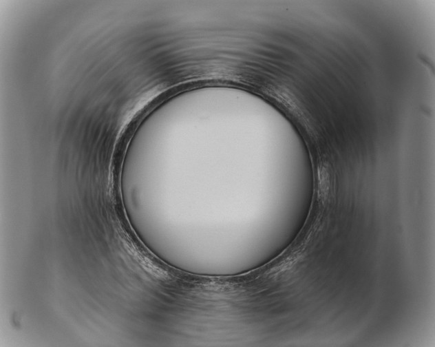 X0000103260780200809121922