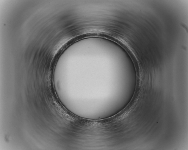 X0000103260783200809121922