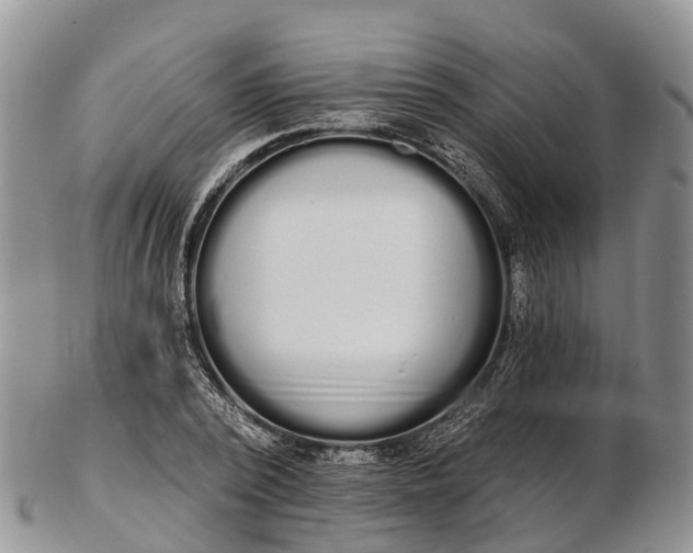 X0000103260784200809121922