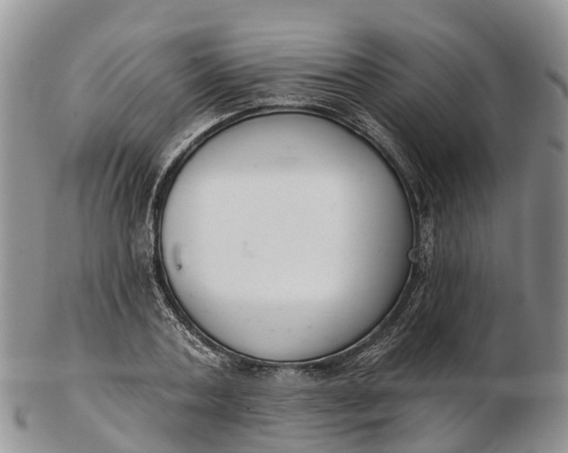 X0000103260787200809121922