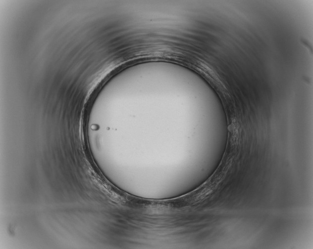 X0000103260788200809121922