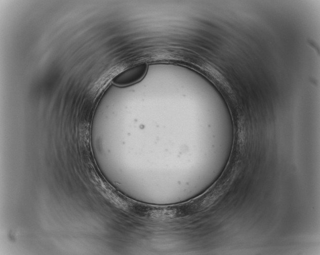 X0000103260793200809121922