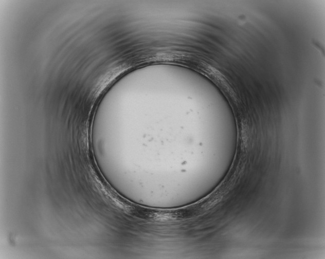 X0000103260794200809121922