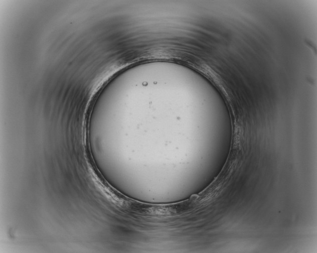 X0000103260795200809121922