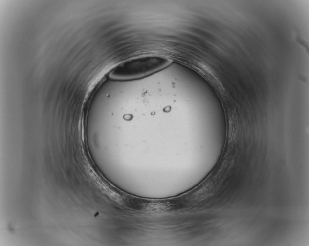 X0000103260796200809121922