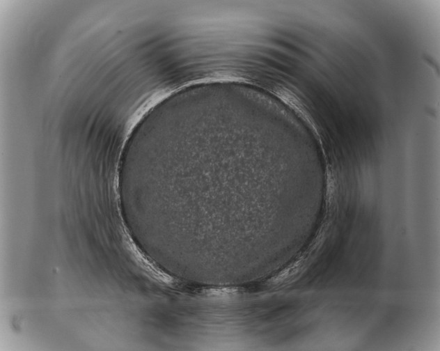 X0000103260797200809121922