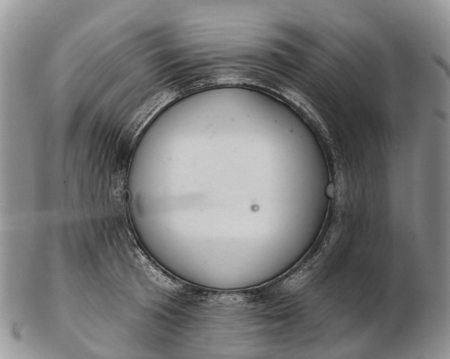 X0000103260801200809121922