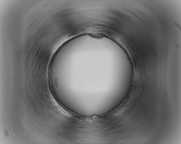 X0000103260803200809121922