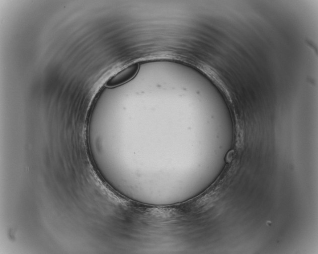 X0000103260805200809121922