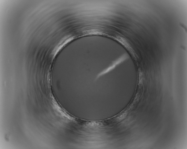 X0000103260806200809121922