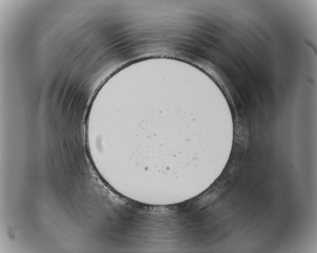 X0000103260807200809121922