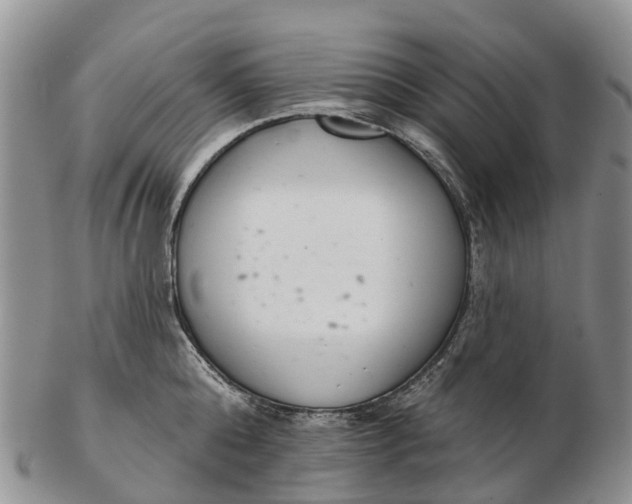 X0000103260808200809121922