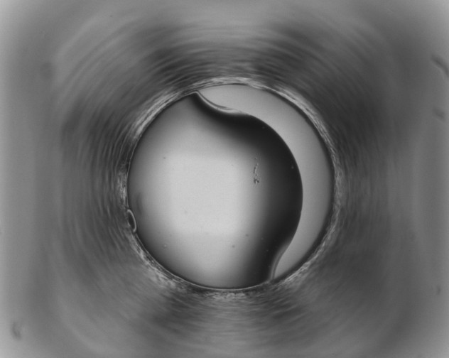 X0000103260809200809121922