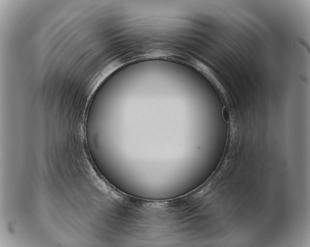 X0000103260810200809121922