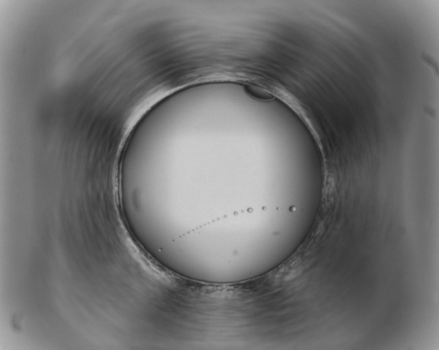 X0000103260811200809121922