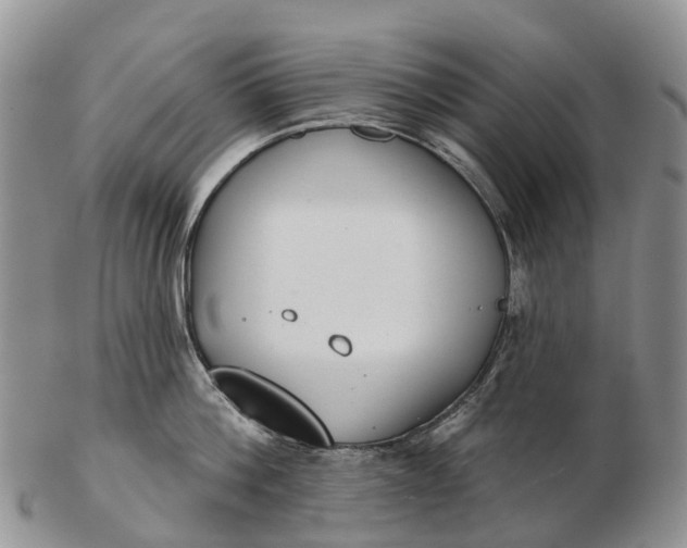 X0000103260812200809121922