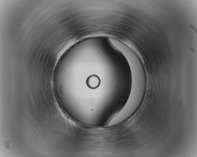 X0000103260813200809121922