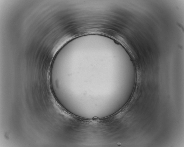 X0000103260814200809121922