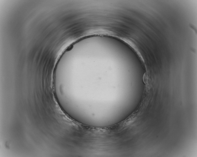 X0000103260815200809121922