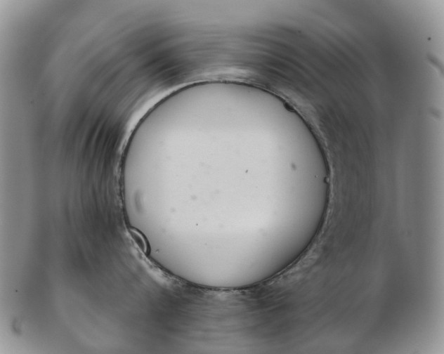 X0000103260816200809121922