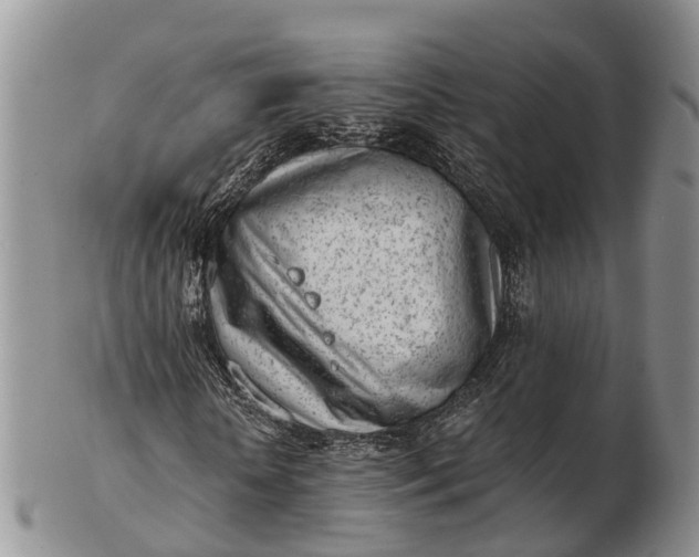 X0000103260818200809121921