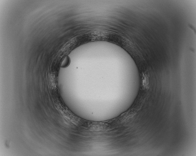 X0000103260819200809121921