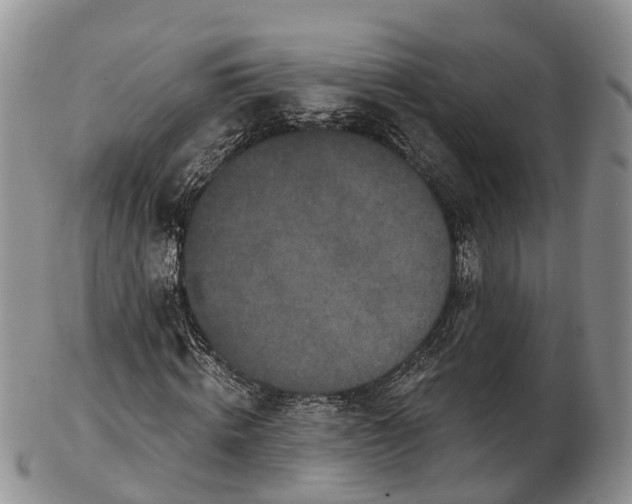 X0000103260820200809121921