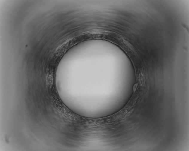 X0000103260821200809121921