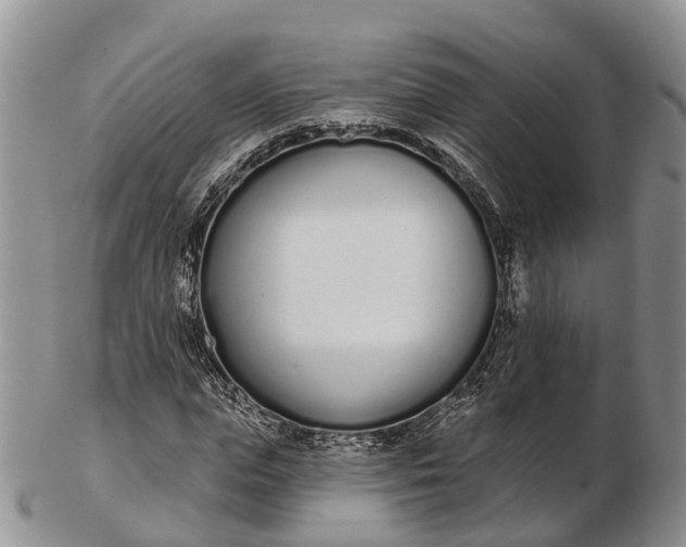 X0000103260823200809121921