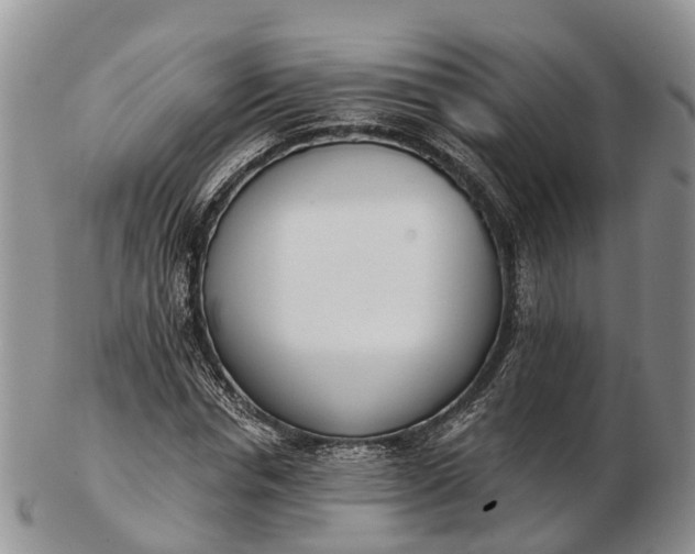 X0000103260826200809121921