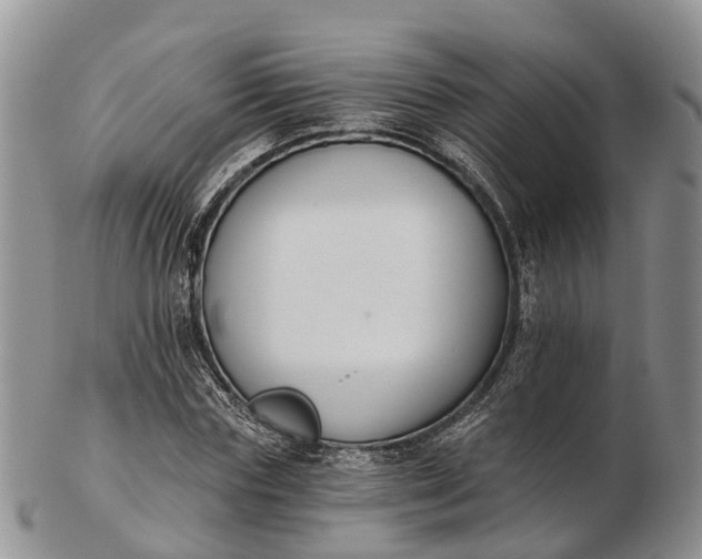 X0000103260827200809121921