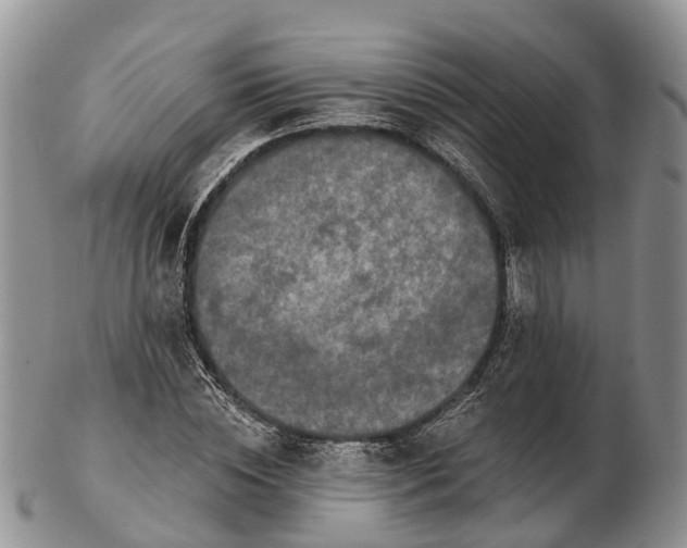 X0000103260828200809121921