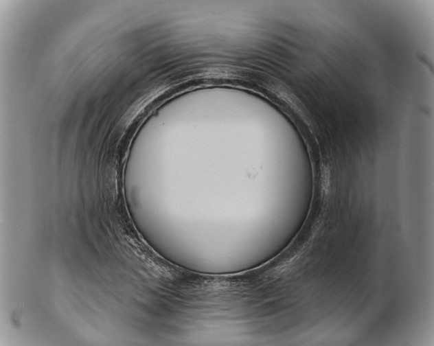 X0000103260829200809121921