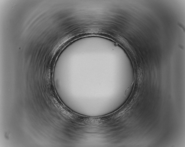 X0000103260831200809121921