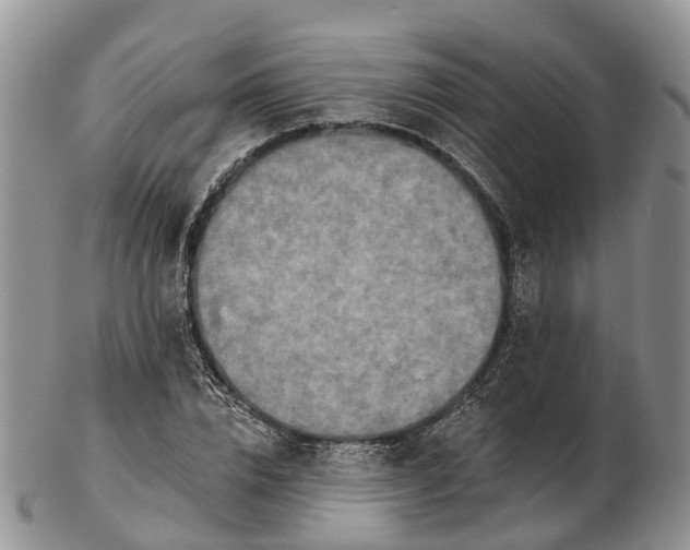 X0000103260832200809121921