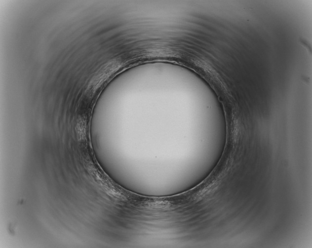 X0000103260833200809121921