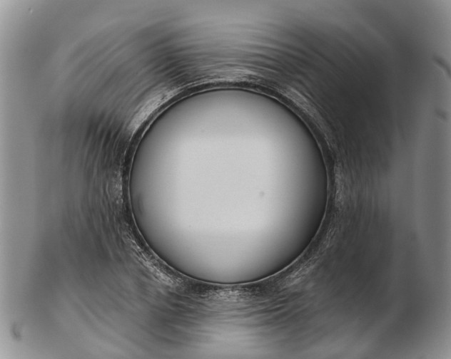 X0000103260834200809121921