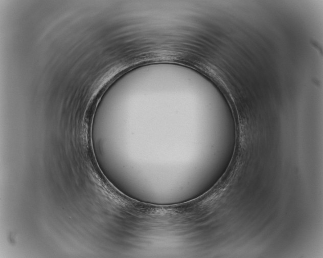 X0000103260835200809121921