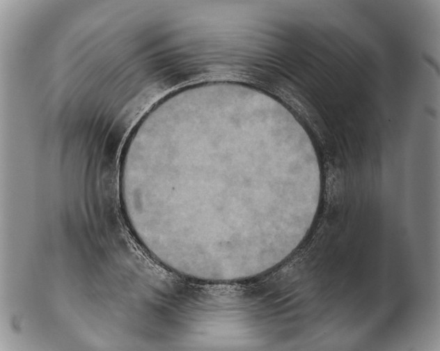 X0000103260836200809121921