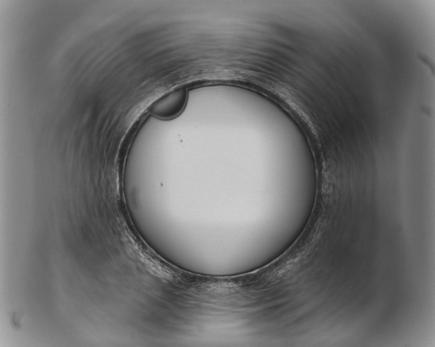 X0000103260837200809121921