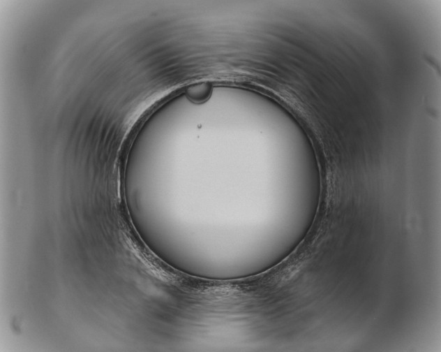 X0000103260838200809121921