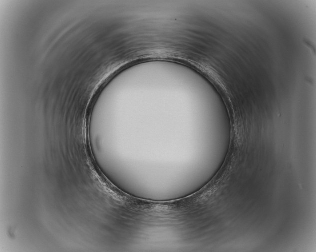 X0000103260839200809121921