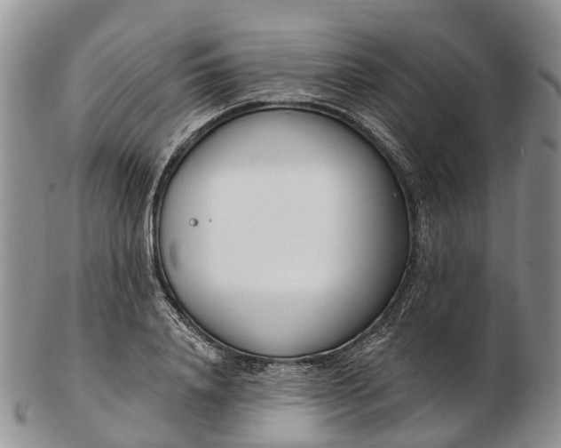 X0000103260840200809121921