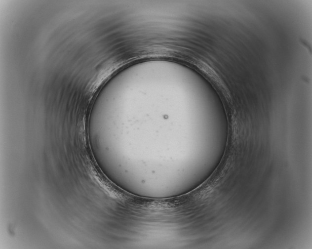 X0000103260842200809121921